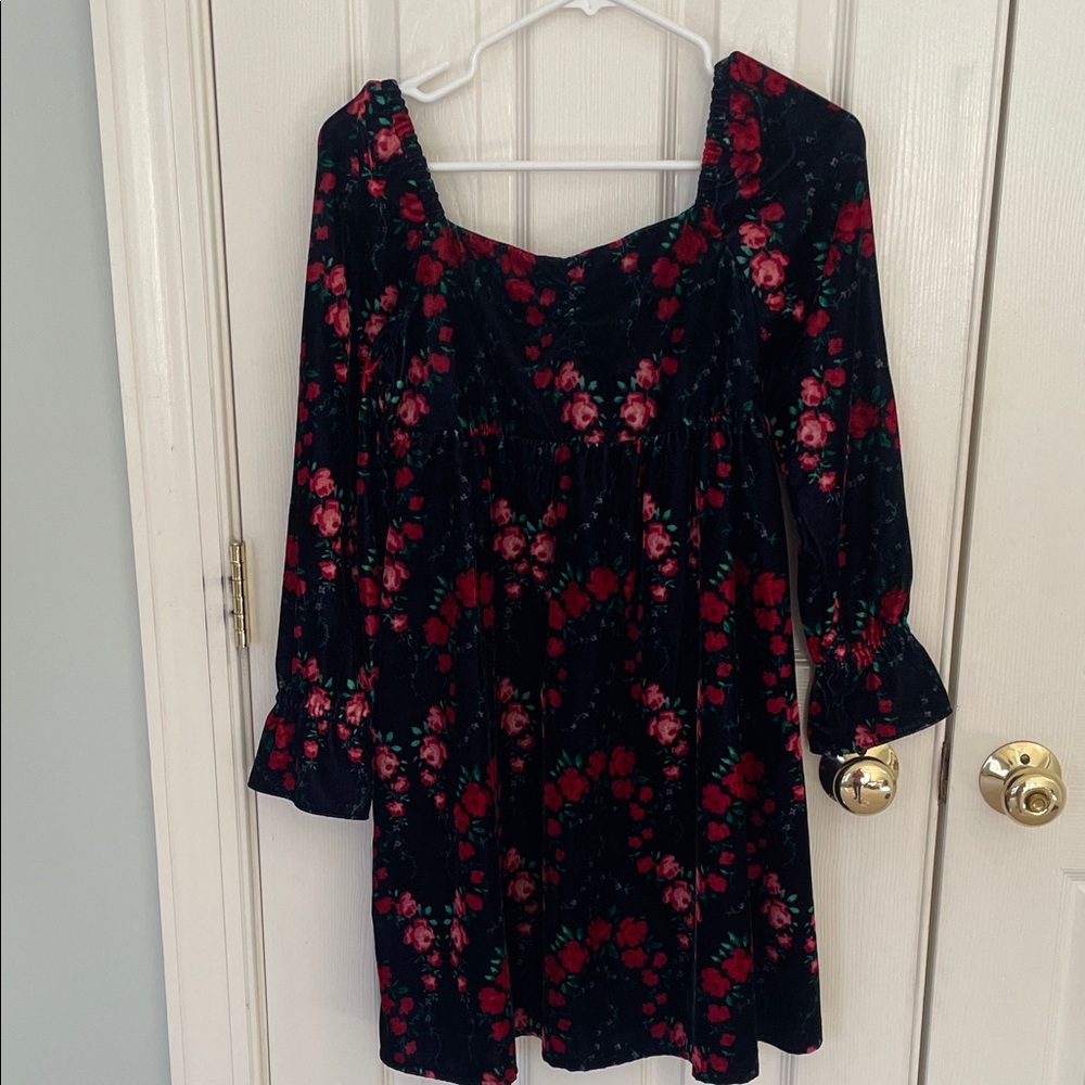Janie and Jack Floral Velvet Dress - Navy and Red